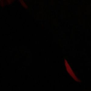 Meet your Posher, Katelyn